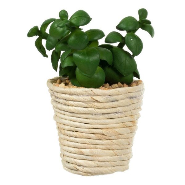 3 Artificial Succulent in Pot Set #ND1052 Online Hot Sale - Image 5