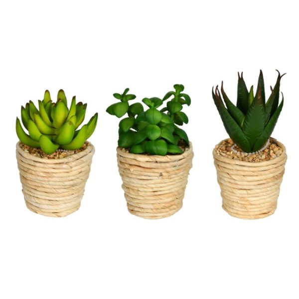 3 Artificial Succulent in Pot Set #ND1052 Online Hot Sale