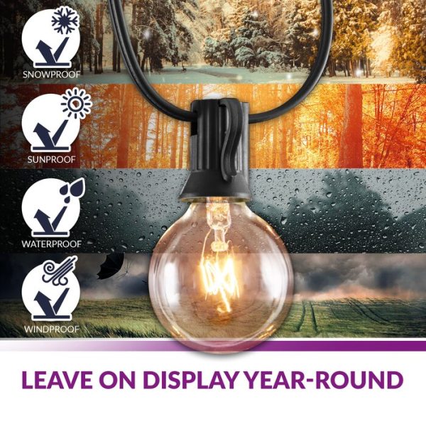 Wayfair Basics 25  Outdoor Plug-in 25 - Bulb Globe String Light (1246ND) For Sale - Image 2