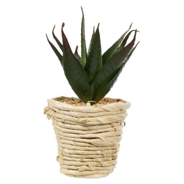 3 Artificial Succulent in Pot Set #ND1052 Online Hot Sale - Image 3