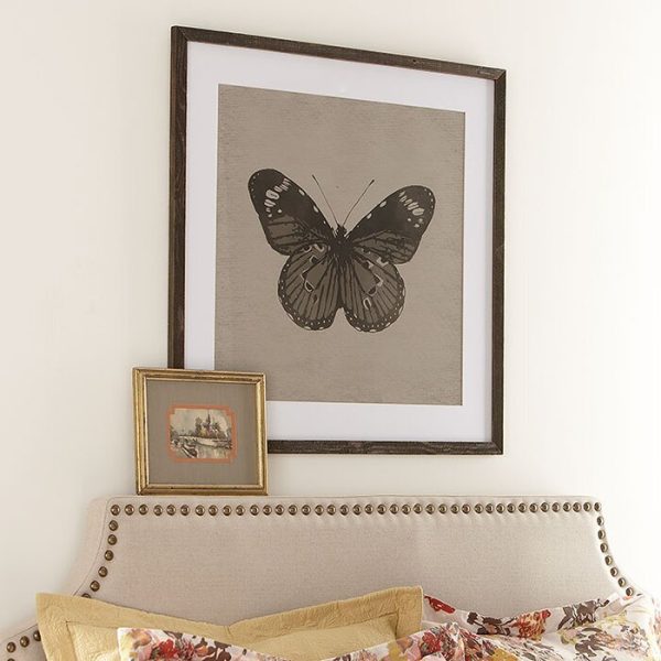Metamorphosis II  by PTM Images - Picture Frame Graphic Art Print on Paper AP454 on Sale