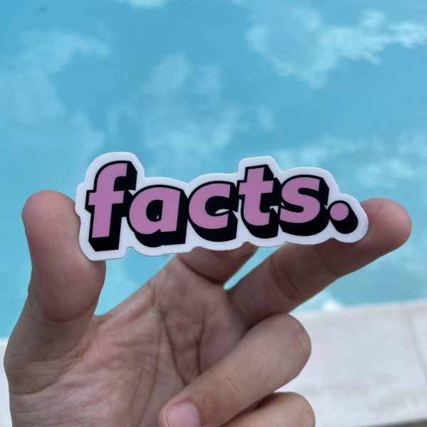 Facts. Italics Pink Aesthetic Sticker For Discount - Image 2