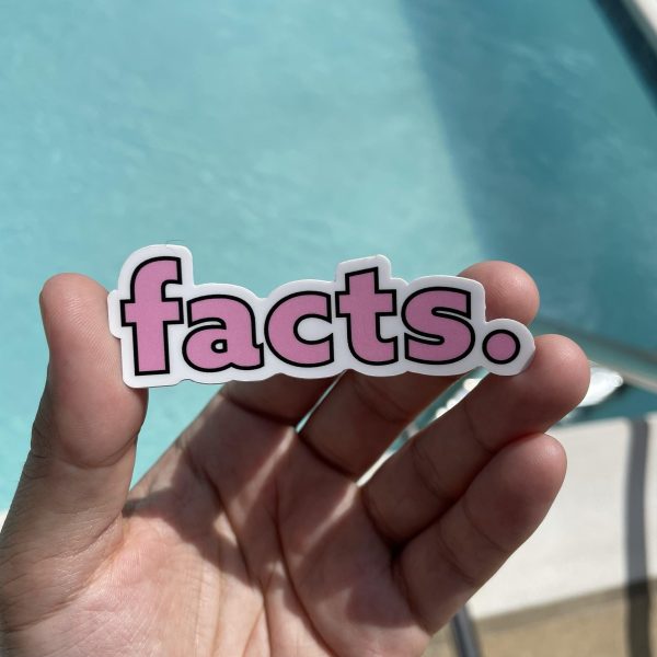 Facts. Pink Aesthetic Sticker Cheap - Image 2